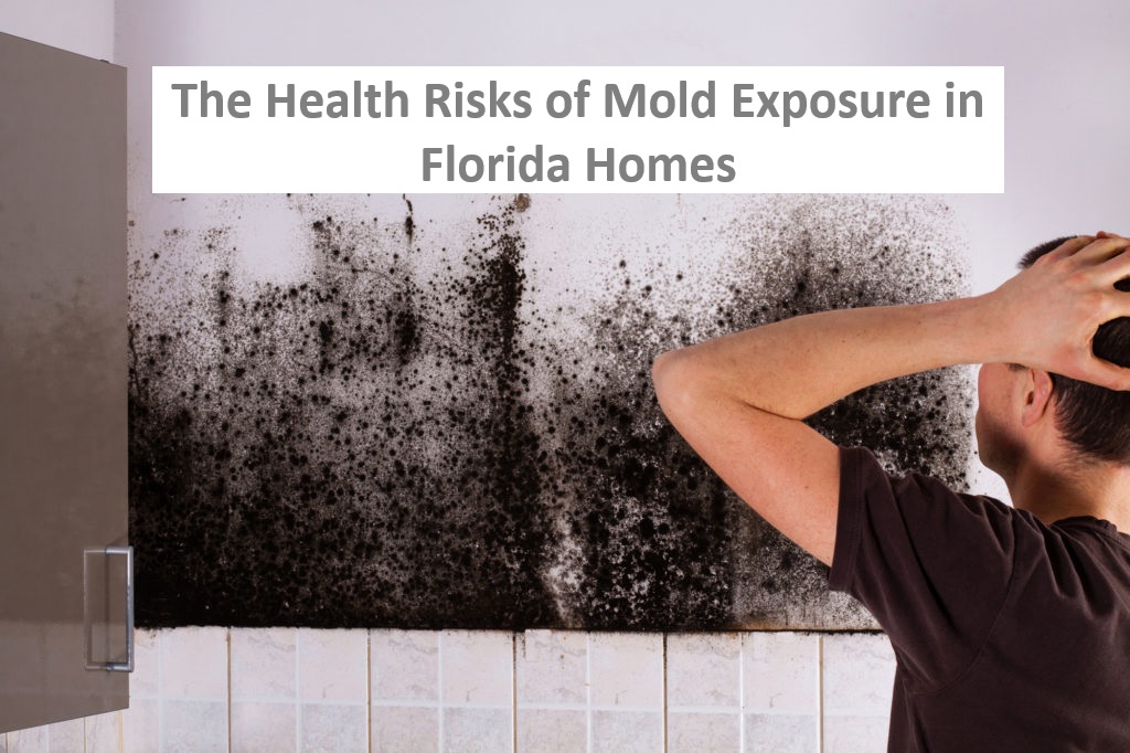 The Health Risks of Mold Exposure in Florida Homes